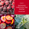 Load image into Gallery viewer, Dashing Through the Snow 3-Wick Candle
