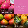 Load image into Gallery viewer, Dragonfruit Splash Odor Eliminating 3-Wick Candle
