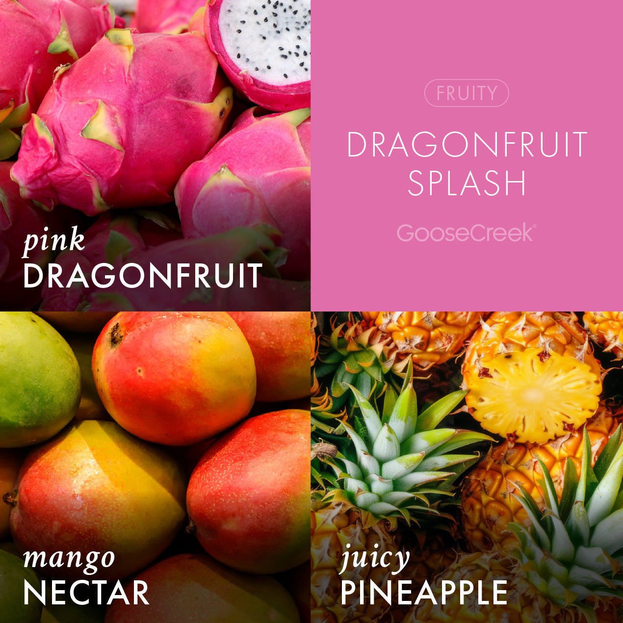 Dragonfruit Splash Odor Eliminating 3-Wick Candle