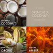Load image into Gallery viewer, Drenched Coconut 3-Wick Candle
