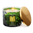 Load image into Gallery viewer, Earth Moss 3-Wick Candle
