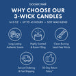 Load image into Gallery viewer, Ecto-1 Ghostbusters 3-Wick Candle
