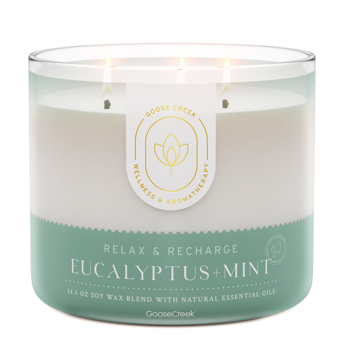 Eucalyptus & Mint Aromatherapy 3-Wick Candle