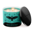 Load image into Gallery viewer, Eucalyptus Mist 3-Wick Candle
