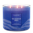 Load image into Gallery viewer, Eucalyptus Mist Odor Eliminating 3-Wick Candle

