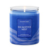 Eucalyptus Mist Odor Eliminating 7oz Single Wick Candle
