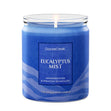 Load image into Gallery viewer, Eucalyptus Mist Odor Eliminating 7oz Single Wick Candle

