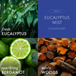 Load image into Gallery viewer, Eucalyptus Mist Odor Eliminating Room Spray

