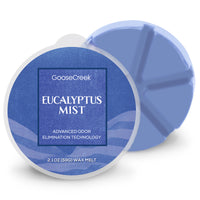 Eucalyptus Mist Odor Eliminating Wax Melt