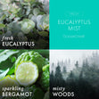 Load image into Gallery viewer, Eucalyptus Mist Wax Melt
