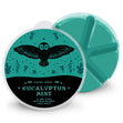 Load image into Gallery viewer, Eucalyptus Mist Wax Melt
