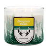 Evergreen Trail 3-Wick Candle