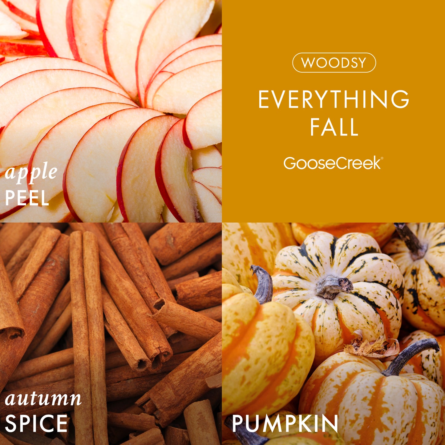 Everything Fall 3-Wick Candle