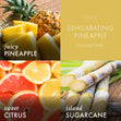 Load image into Gallery viewer, Exhilarating Pineapple Plug-in Refill
