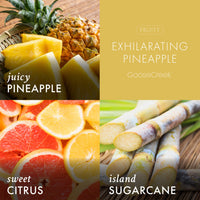 Exhilarating Pineapple Wax Melt