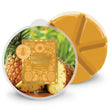 Load image into Gallery viewer, Exhilarating Pineapple Wax Melt
