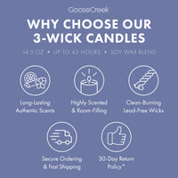 Fairly Odd Parents Nickelodeon 3-Wick Candle