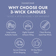 Load image into Gallery viewer, Fairly Odd Parents Nickelodeon 3-Wick Candle
