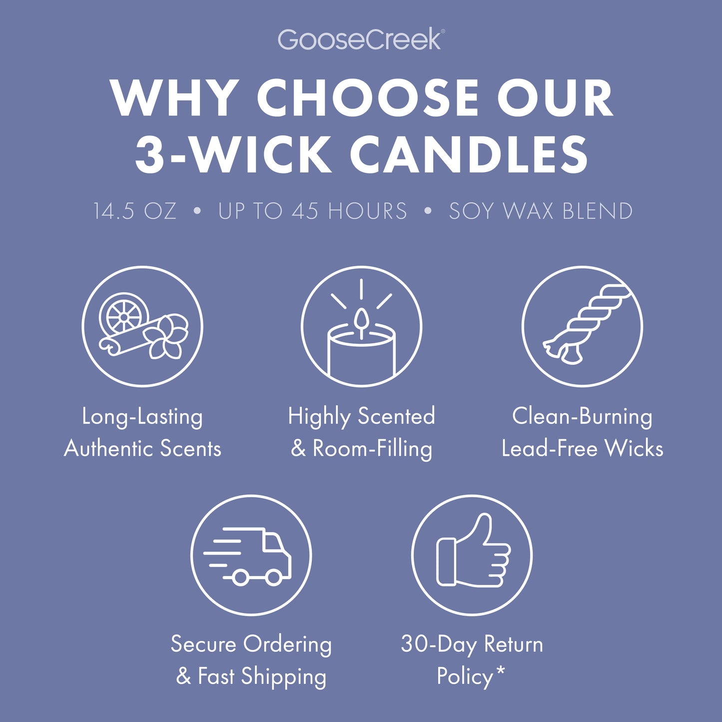 Fairly Odd Parents Nickelodeon 3-Wick Candle