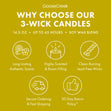 Load image into Gallery viewer, Fall Gathering 3-Wick Candle

