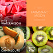Load image into Gallery viewer, Farmstand Melon 3-Wick Candle
