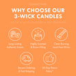 Load image into Gallery viewer, Farmstand Melon 3-Wick Candle
