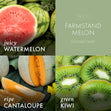Load image into Gallery viewer, Farmstand Melon Wax Melt
