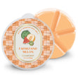 Load image into Gallery viewer, Farmstand Melon Wax Melt
