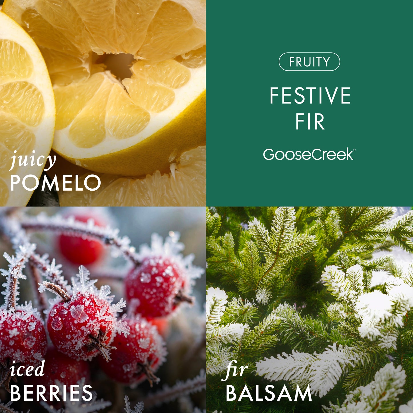 Festive Fir 3-Wick Candle