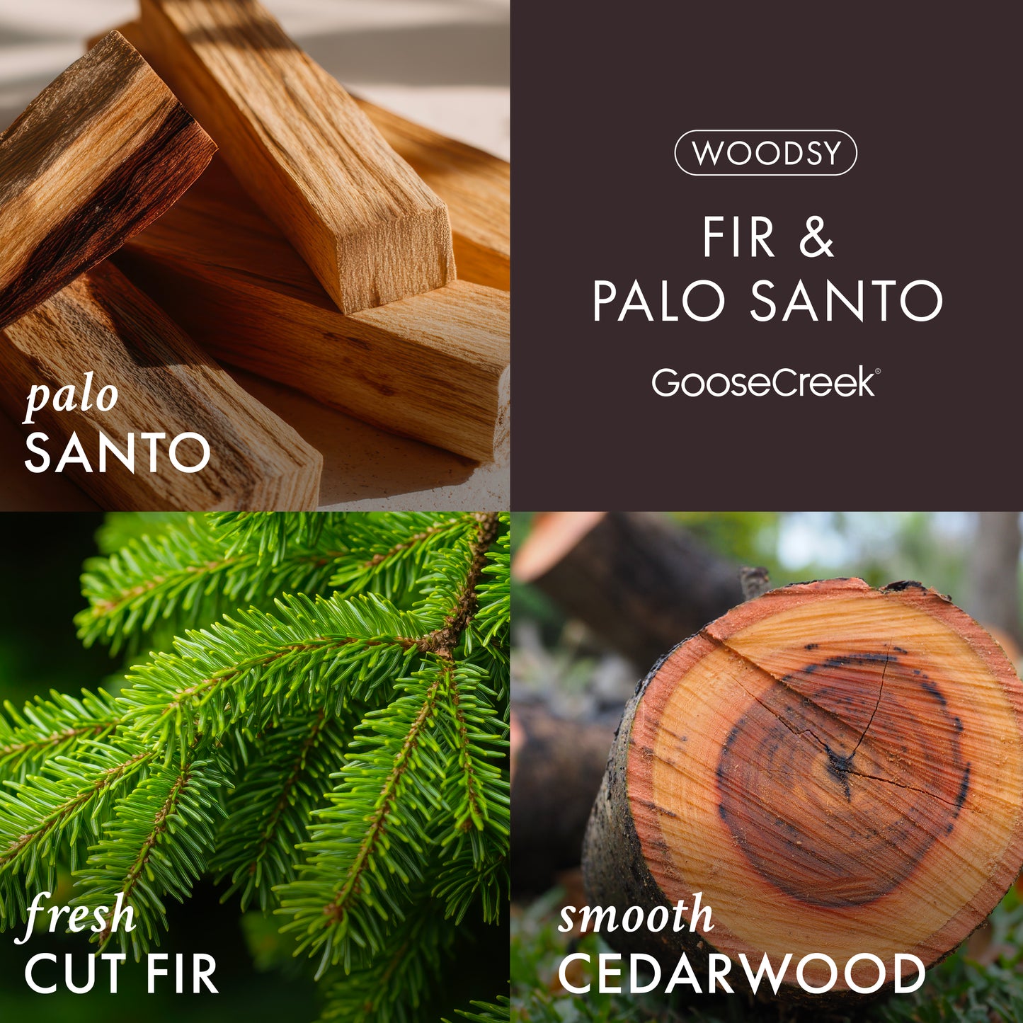 Fir & Palo Santo 3-Wick Candle