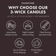 Load image into Gallery viewer, Fir &amp;amp; Palo Santo 3-Wick Candle
