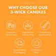 Load image into Gallery viewer, Firefly Fields 3-Wick Candle
