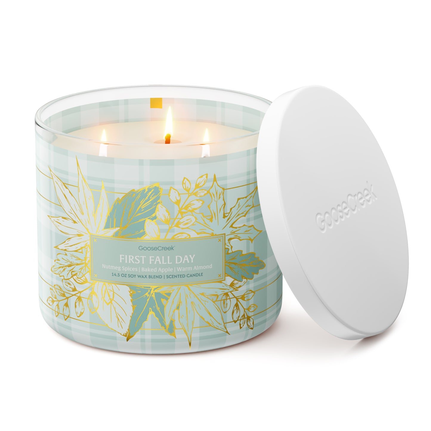 First Fall Day 3-Wick Candle