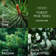 Load image into Gallery viewer, Forest Pine Trees 3-Wick Candle
