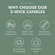 Load image into Gallery viewer, Forest Pine Trees 3-Wick Candle
