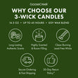Load image into Gallery viewer, Forest Pine Trees 3-Wick Candle
