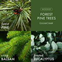 Forest Pine Trees 7oz Single Wick Candle