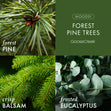 Load image into Gallery viewer, Forest Pine Trees Lush Foaming Hand Soap
