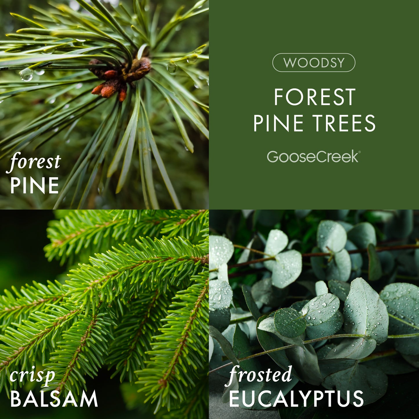 Forest Pine Trees Lush Foaming Hand Soap