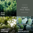 Load image into Gallery viewer, Forest Pine Trees Odor Eliminating Room Spray
