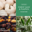 Load image into Gallery viewer, Forest Sage &amp;amp; Pumpkin 3-Wick Candle
