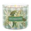 Load image into Gallery viewer, Forest Sage &amp;amp; Pumpkin 3-Wick Candle
