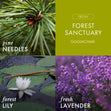 Load image into Gallery viewer, Forest Sanctuary 3-Wick Candle
