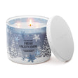 Load image into Gallery viewer, Fresh Fallen Snow 3-Wick Candle

