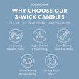Load image into Gallery viewer, Fresh Fallen Snow 3-Wick Candle
