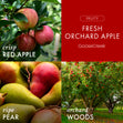 Load image into Gallery viewer, Fresh Orchard Apple Wax Melt
