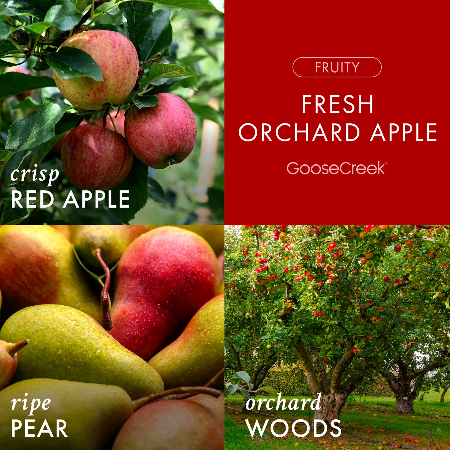 Fresh Orchard Apple Wax Melt