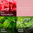 Load image into Gallery viewer, Fresh Picked Watermelon 3-Wick Candle
