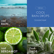 Load image into Gallery viewer, Fresh &amp;amp; Woody Plugin Starter Pack Bundle
