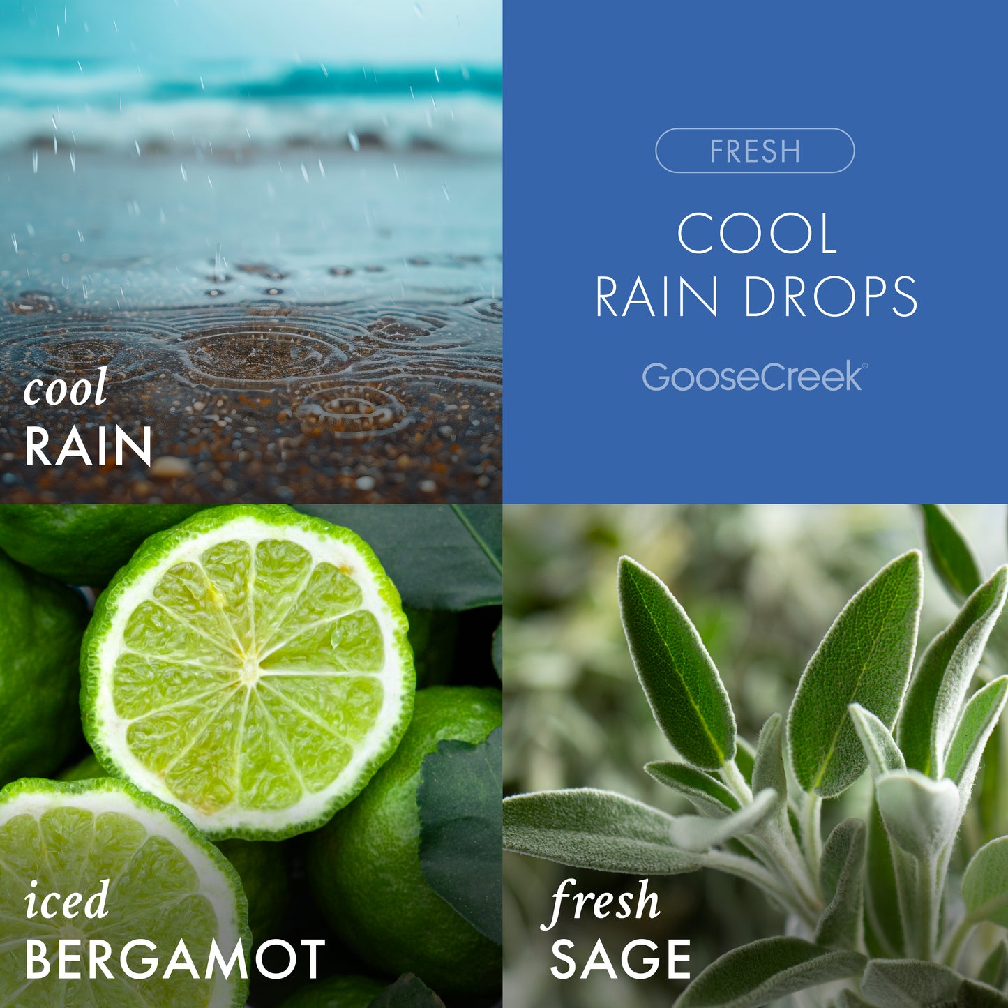 Fresh & Woody Plugin Starter Pack Bundle